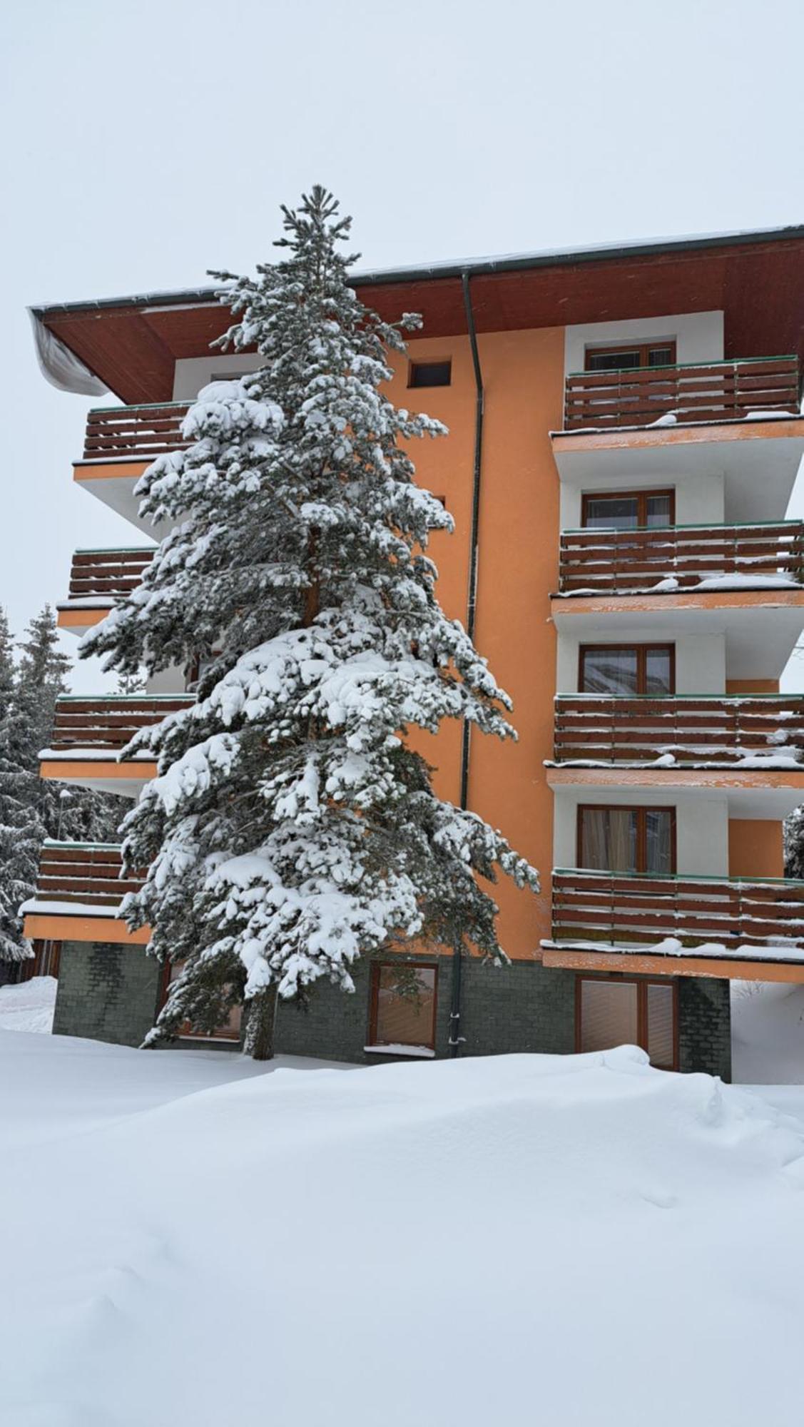 Apartman Palenica II Tatranska Strba Exterior photo